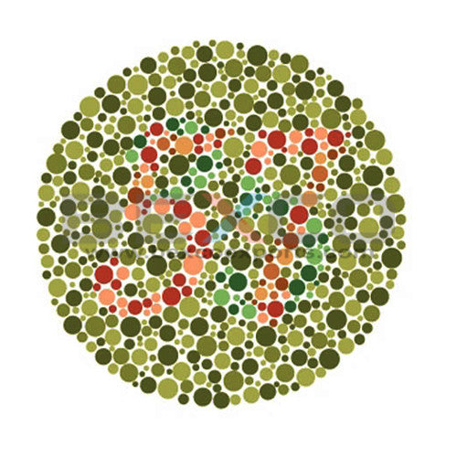 Ishiharas Test Book