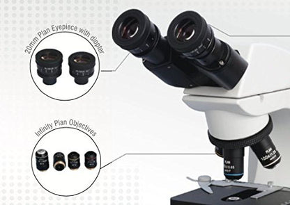 BEXCO Color Corrected Binocular Microscope
