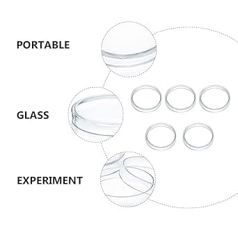 Borosilicate Glass Petri Dish