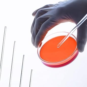 Borosilicate Glass Petri Dish