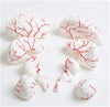 Human Brain with Arteries 8 parts